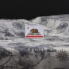 California Republic Traditional Flag -Bags Store 0A6A2390