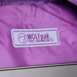 35L Backpack Ice -Bags Store 3E742564 4518 4EB0 8810 5305E30FA754