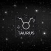 Zodiac Sign Taurus Patch -Bags Store 5FC35BA6 54FF 4AEC 8E68 E073B1F750C7