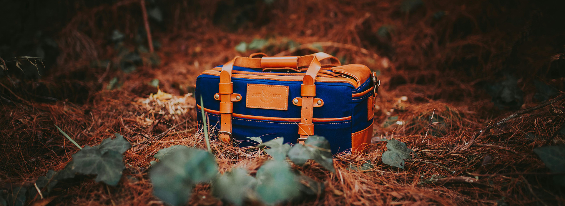 Bags Store -Bags Store pexels bertellifotografia 13872590